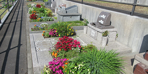 花の墓地